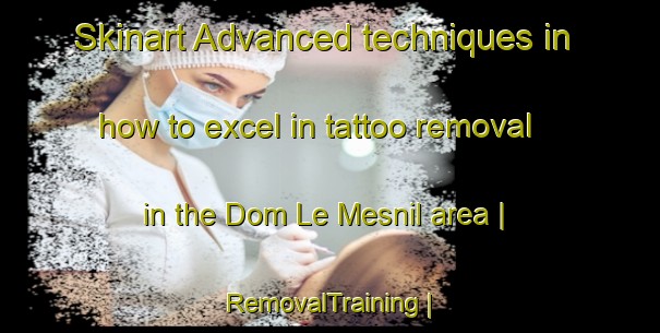 Skinart Advanced techniques in how to excel in tattoo removal in the Dom Le Mesnil area | RemovalTraining | RemovalClasses | SkinartTraining-France